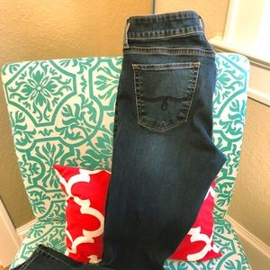 Lucky Brand Leyla Skinny Jean SZ 8/29